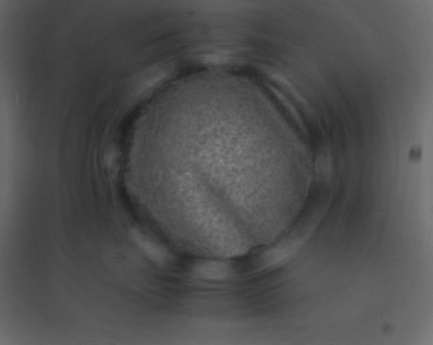 X0000094950671200712131623