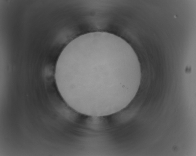 X0000094950672200712131623