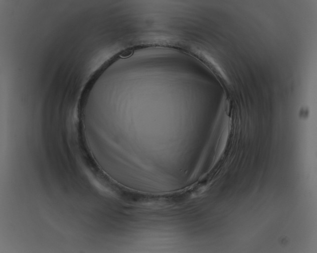 X0000094950674200712131623