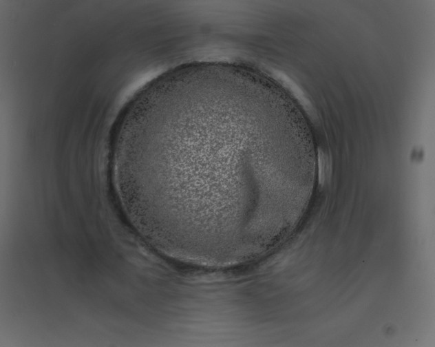 X0000094950675200712131623