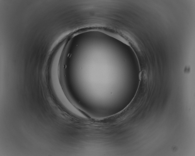 X0000094950676200712131623