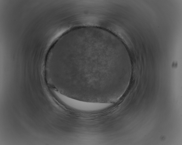 X0000094950677200712131623