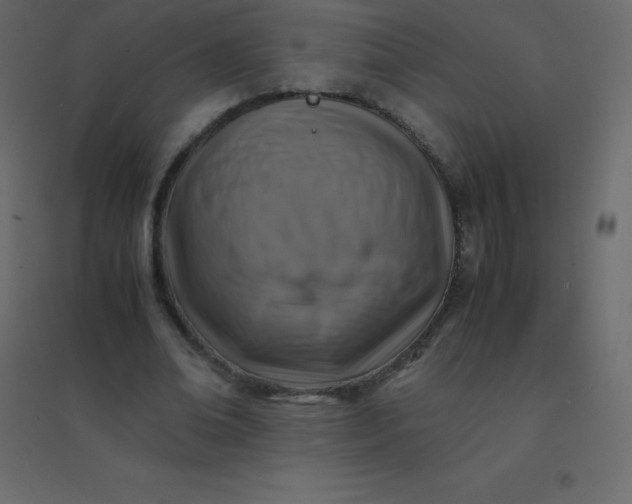 X0000094950678200712131623