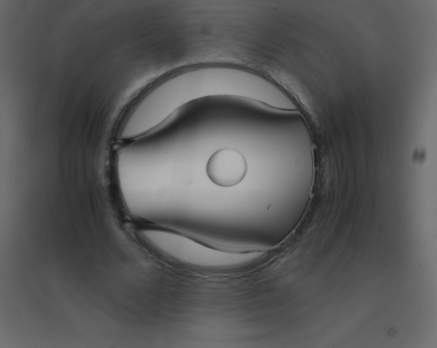 X0000094950680200712131623