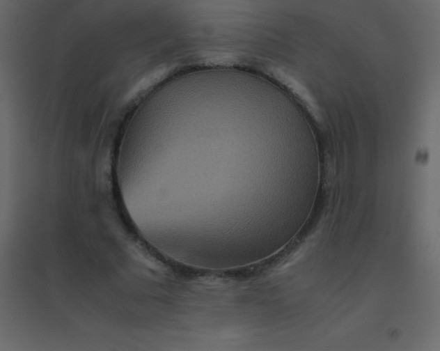 X0000094950681200712131623