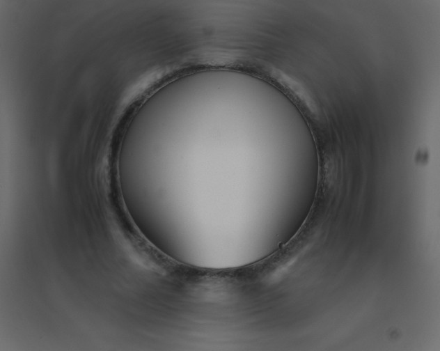 X0000094950682200712131623