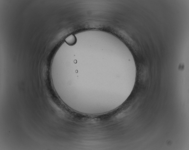 X0000094950683200712131623