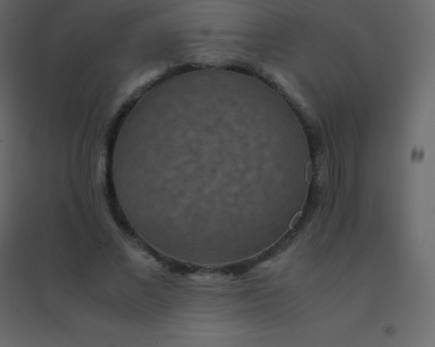 X0000094950685200712131623