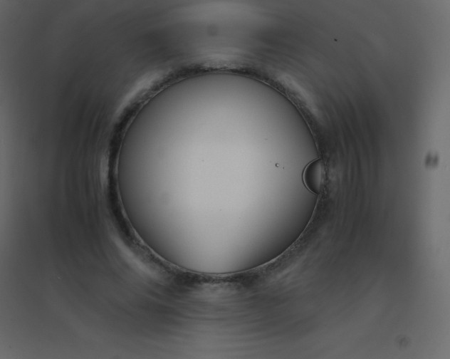 X0000094950686200712131623