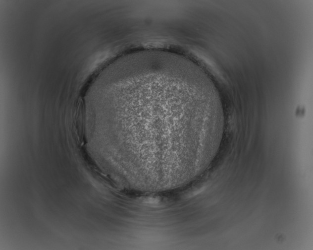 X0000094950687200712131623