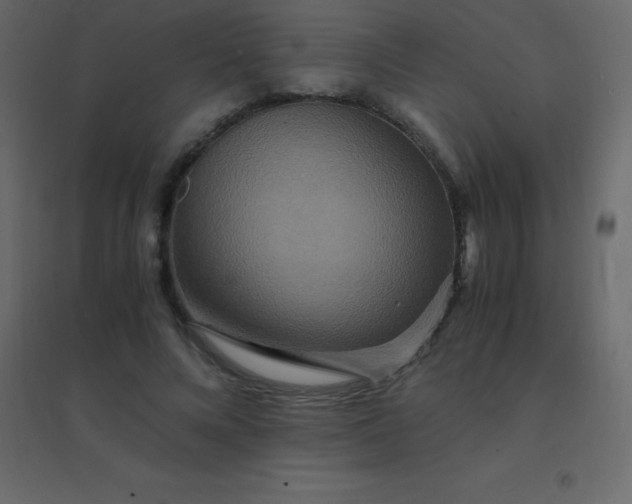 X0000094950688200712131623