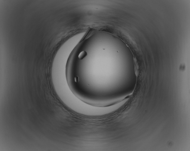 X0000094950689200712131623