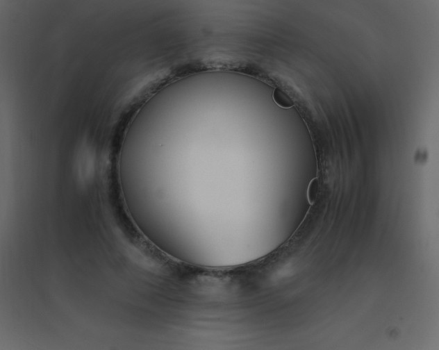 X0000094950690200712131622