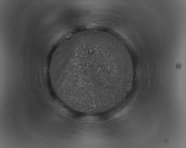 X0000094950691200712131622