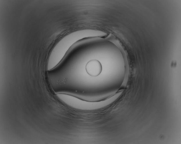 X0000094950693200712131622