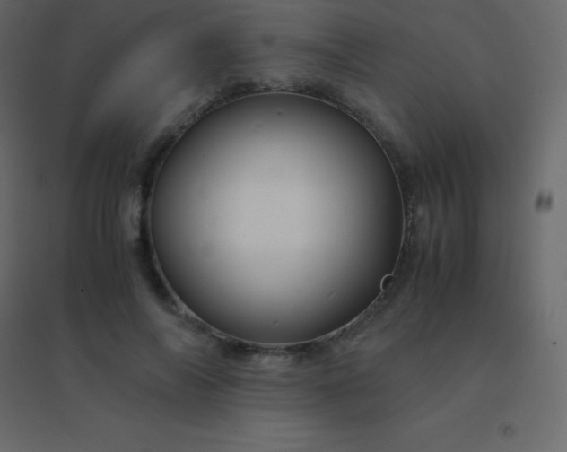 X0000094950694200712131622