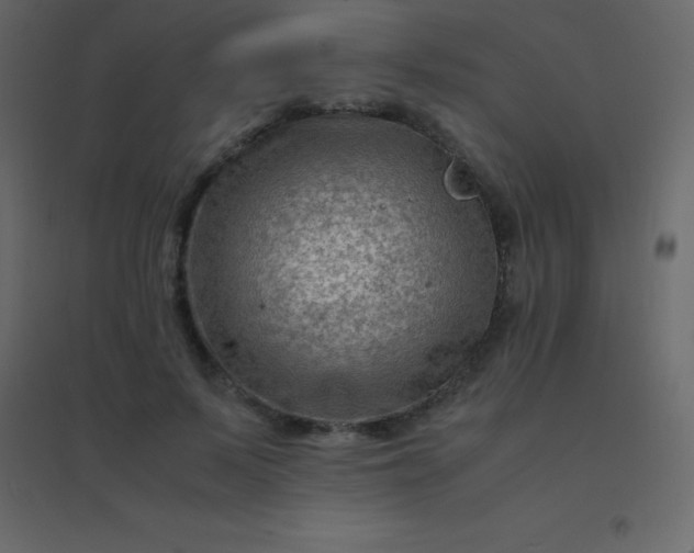 X0000094950695200712131622