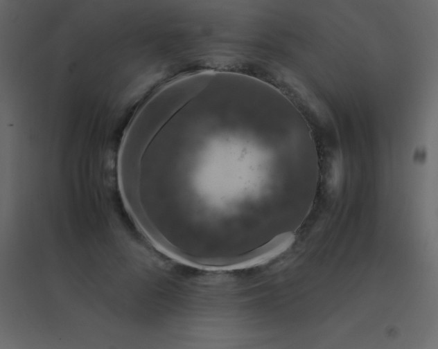 X0000094950696200712131622