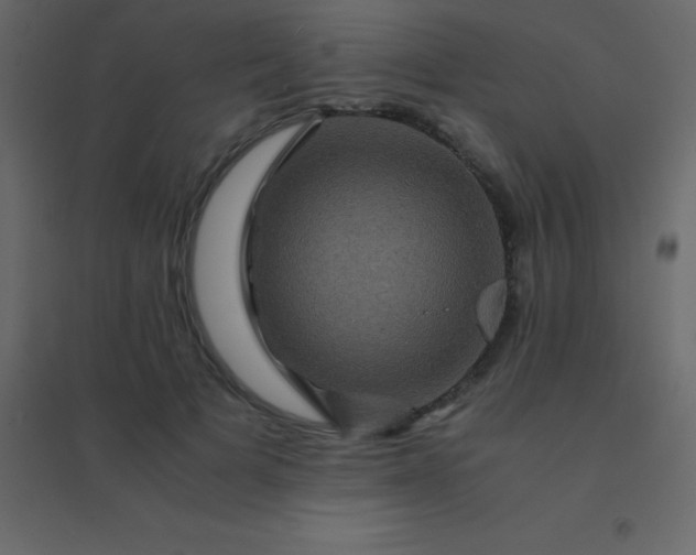 X0000094950697200712131622