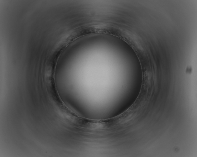 X0000094950698200712131622