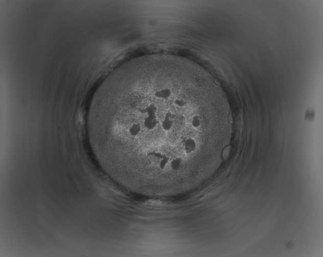 X0000094950699200712131622