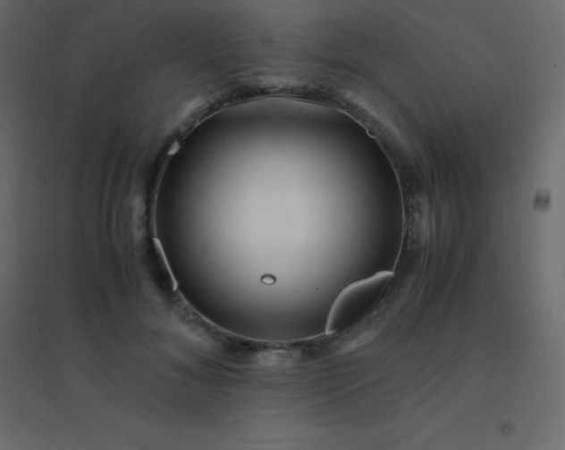 X0000094950700200712131622