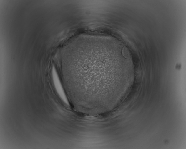 X0000094950703200712131622