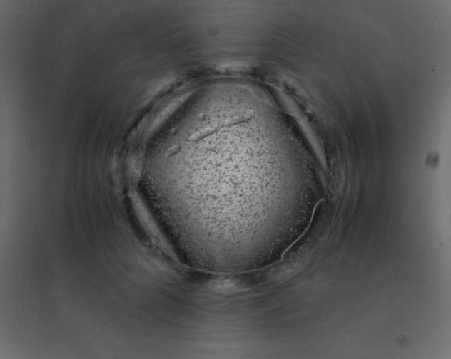 X0000094950704200712131622