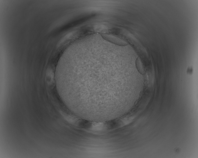 X0000094950705200712131622