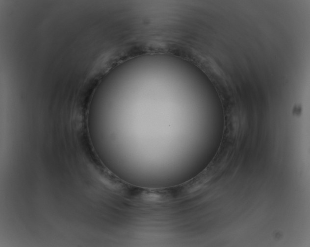 X0000094950706200712131622