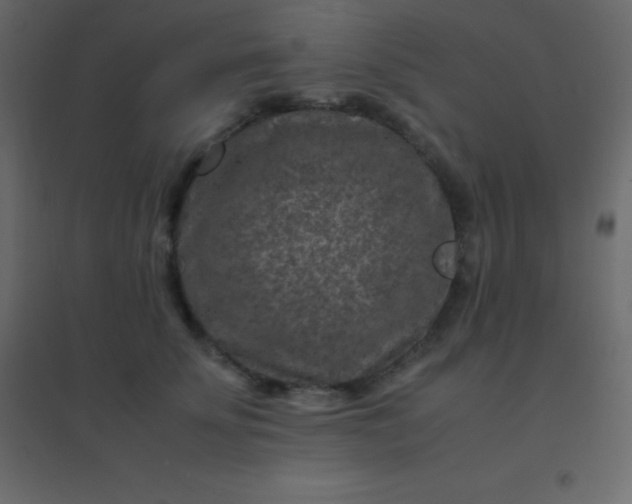 X0000094950707200712131622