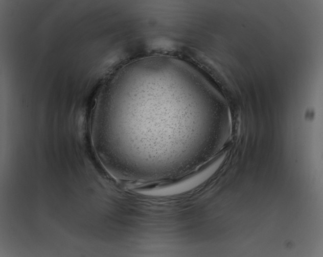 X0000094950708200712131622