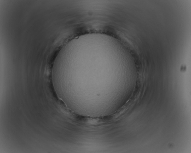 X0000094950709200712131622