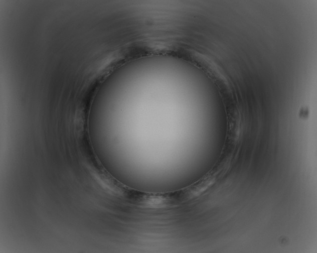 X0000094950710200712131622