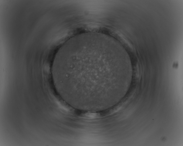 X0000094950711200712131622