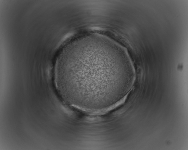 X0000094950712200712131622