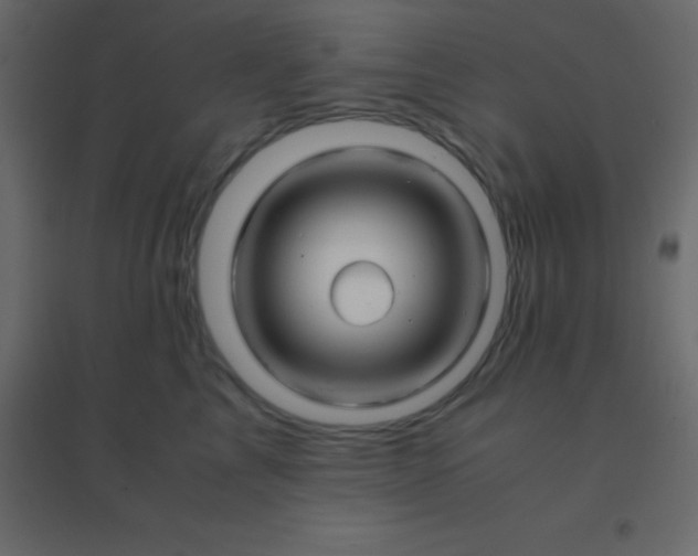 X0000094950713200712131622