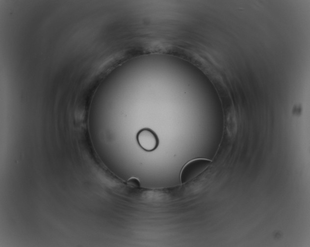 X0000094950714200712131622