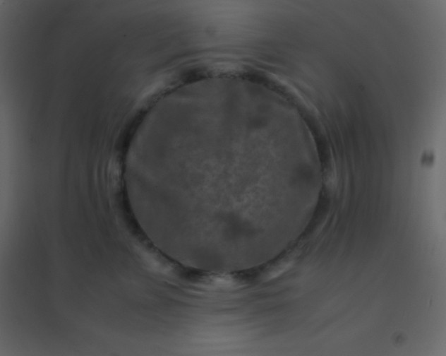 X0000094950715200712131622