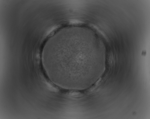 X0000094950716200712131622