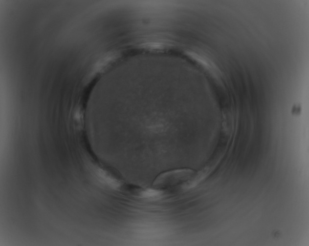 X0000094950718200712131622