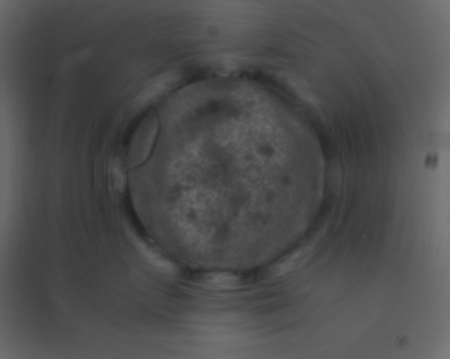 X0000094950719200712131622