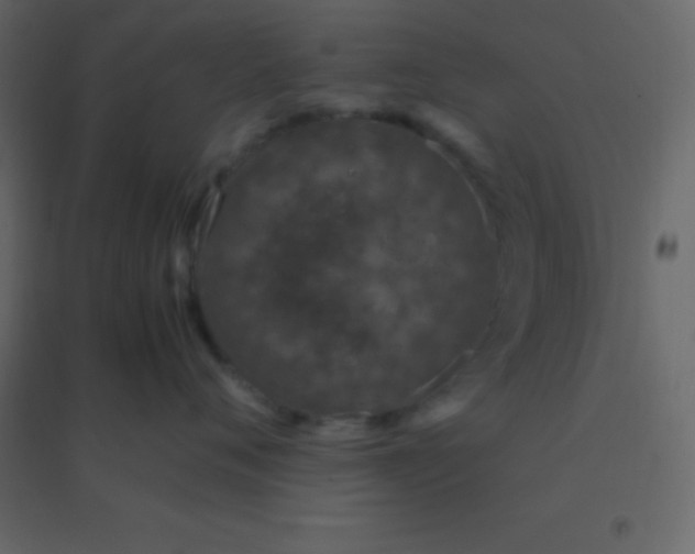 X0000094950720200712131622