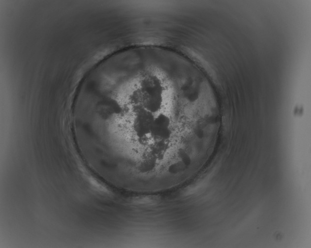 X0000094950721200712131621