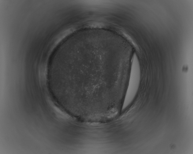 X0000094950722200712131621