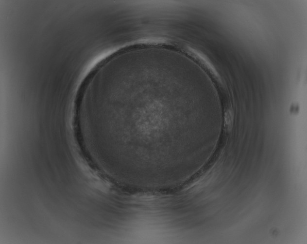 X0000094950724200712131621