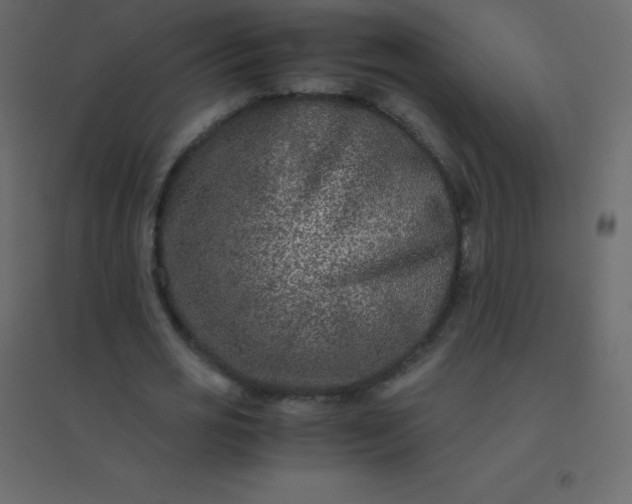 X0000094950725200712131621