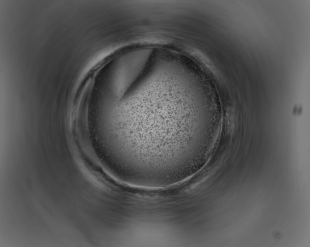 X0000094950726200712131621