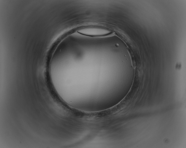 X0000094950728200712131622