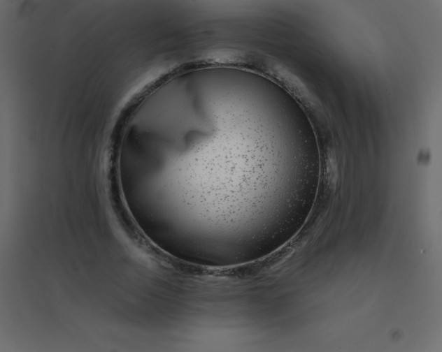 X0000094950730200712131622